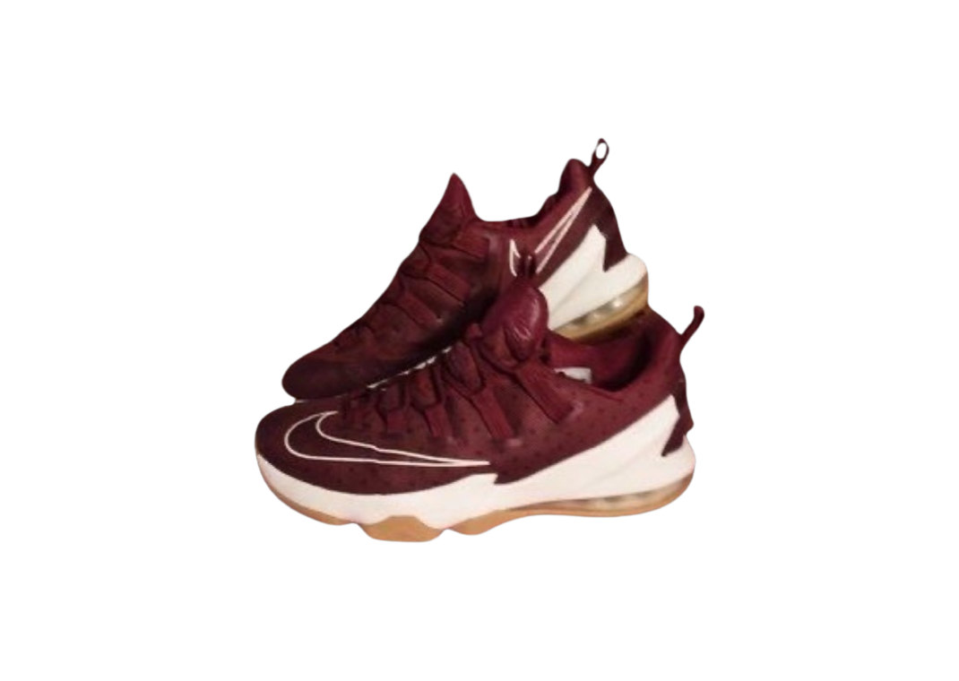LeBron 10 Low