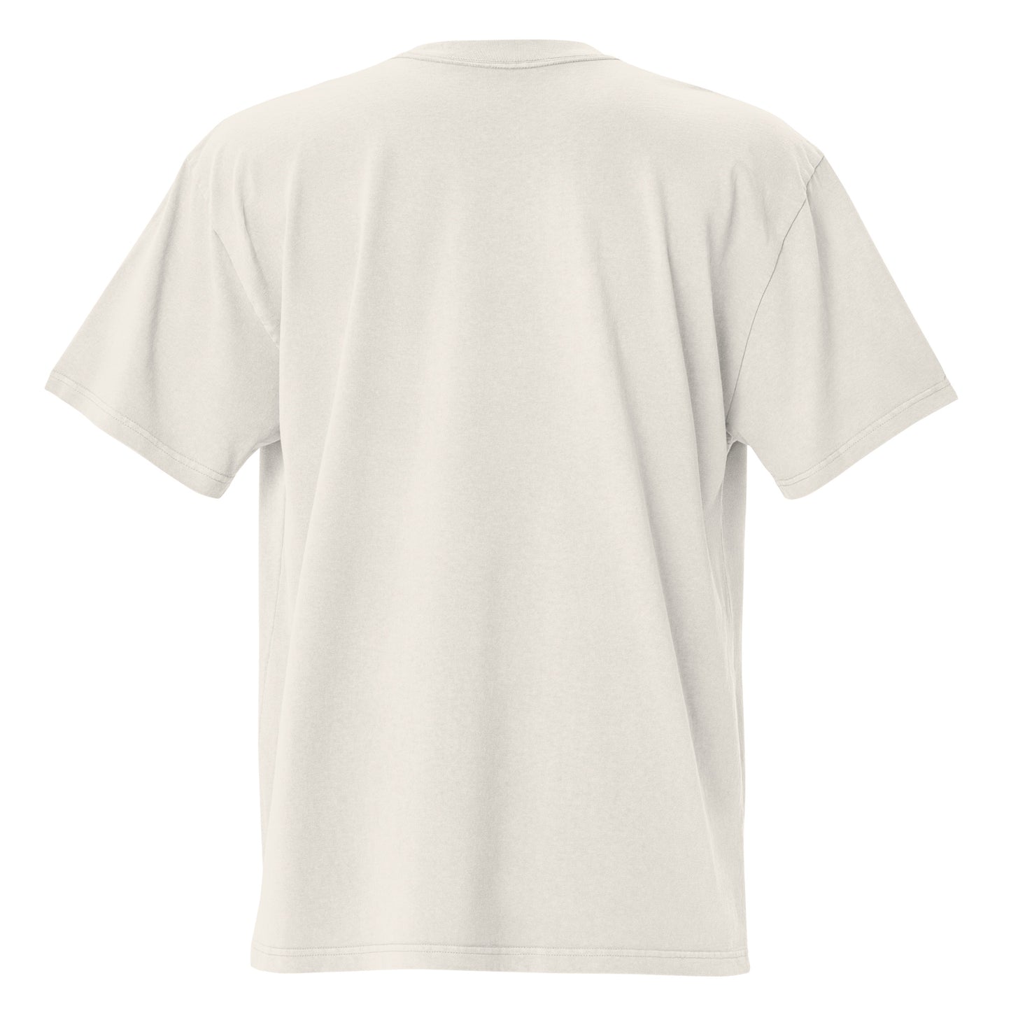Shoe Hype Legends Embroidered Oversized faded t-shirt