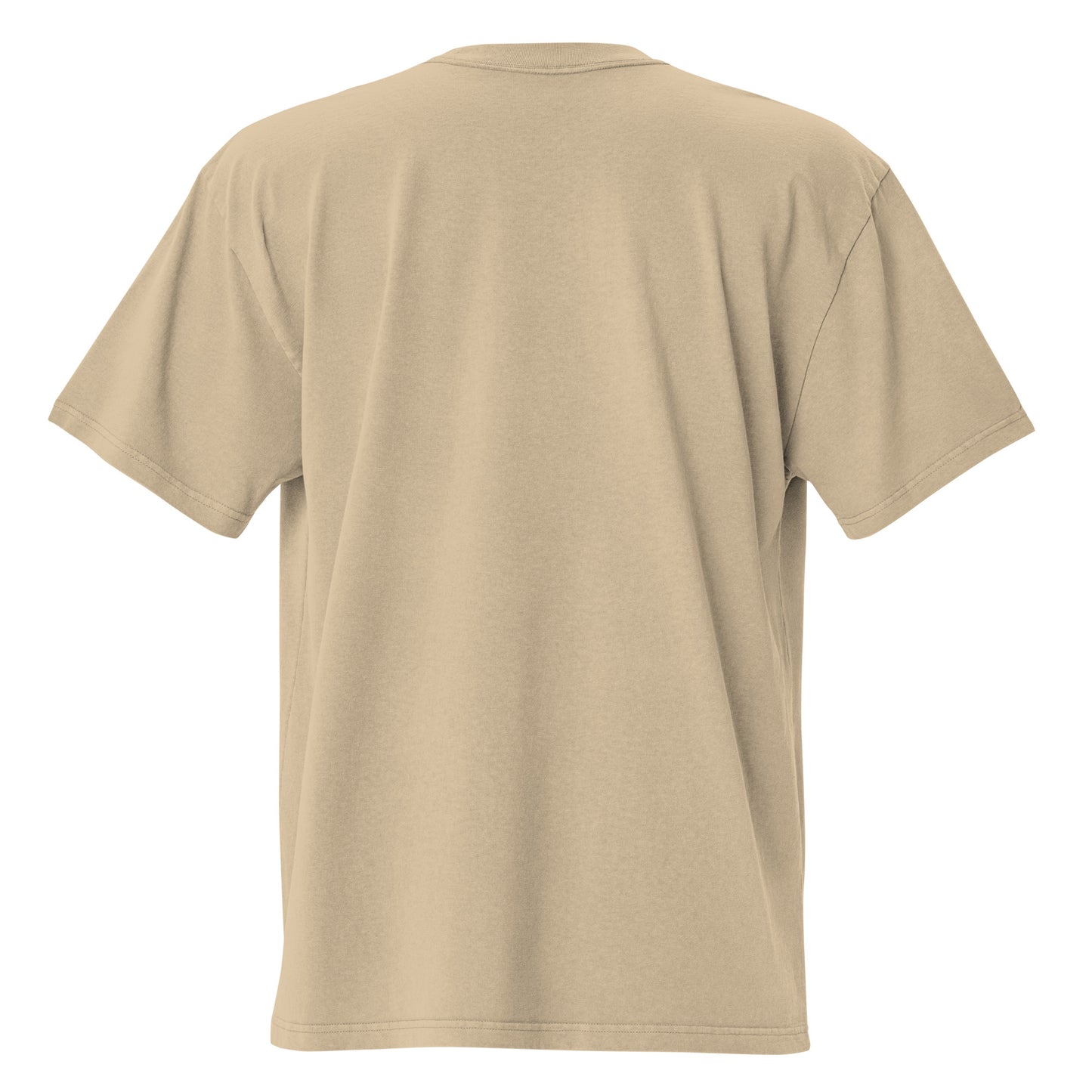 Shoe Hype Legends Embroidered Oversized faded t-shirt